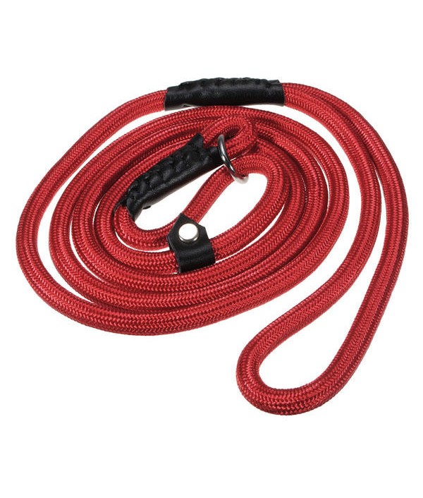 Nylon Rope Pet Dog Slip Training P-Leash Walking Leading Collar Pet SuppliesfromHome and Gardenon 