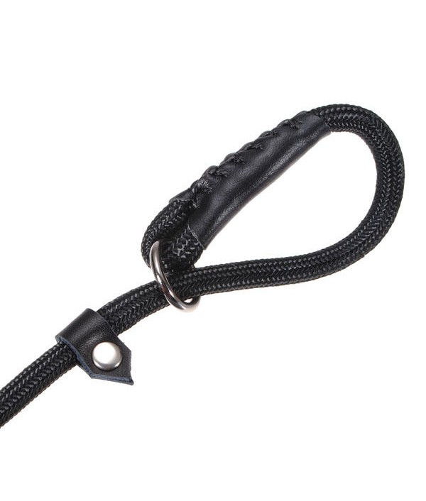 Nylon Rope Pet Dog Slip Training P-Leash Walking Leading Collar Pet SuppliesfromHome and Gardenon 