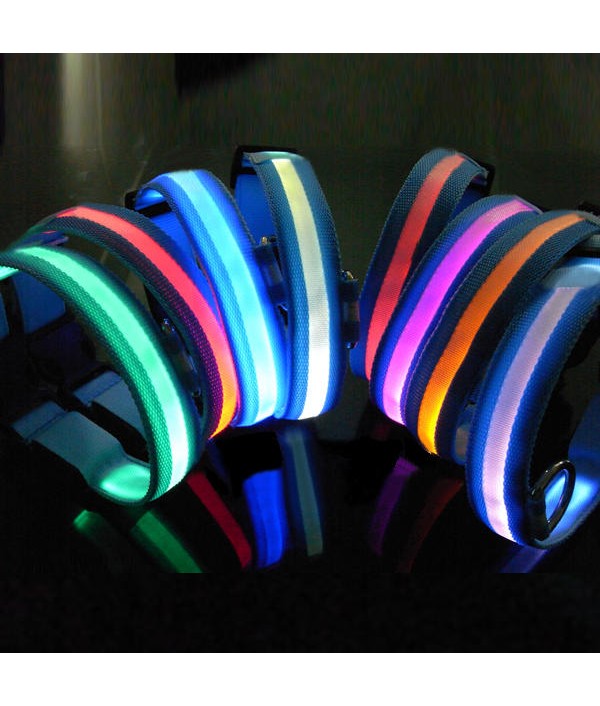 LED Pet Dog Collar Night Safety Dog Flashing CollarPet SuppliesfromHome and Gardenon 