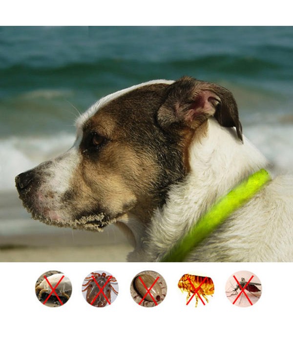 3DOODA Pet Dog Flea Repellent Collar Cat Health Supplies Safe Human Insect repellent WristbandPet SuppliesfromHome and Gardenon 