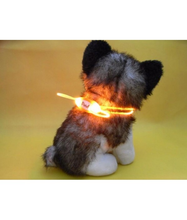 Colorful LED Pet Dog Collar Chain Luminous Light LED Dog Cat Night Light CollarPet SuppliesfromHome and Gardenon 