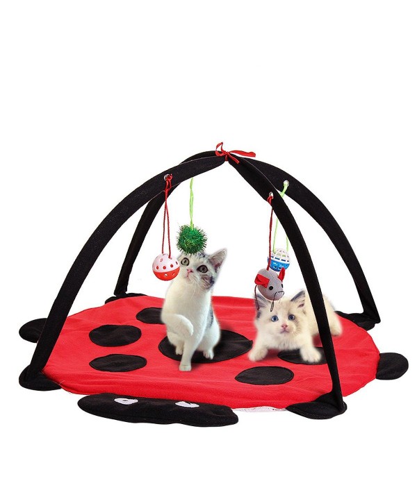 Pet Cat Play Bed Activity Tent Playing Toy Exercise Kitten Pad Mat Bells HousePet SuppliesfromHome and Gardenon 