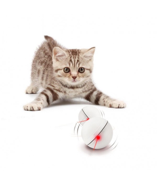 Loskii PT- Electronic  Degree Self Rotating Ball Automatic Rolling Ball LED Light Pet Cat ToysPet SuppliesfromHome and Gardenon 