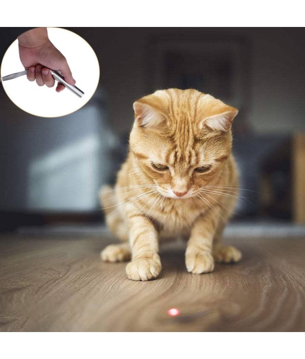 Loskii PT-  USB Rechargeable Pet Toys Cat Training Toy Laser Pointer With LED FlashlightPet SuppliesfromHome and Gardenon 