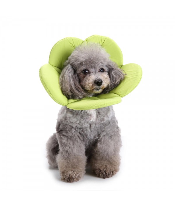 Soft Sponge Flower Shape Dog Cat Collar ...