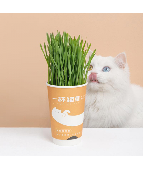 FURRYTAIL A Cup Of Cat Grass To Hair Ball SeedsPet SuppliesfromHome and Gardenon 